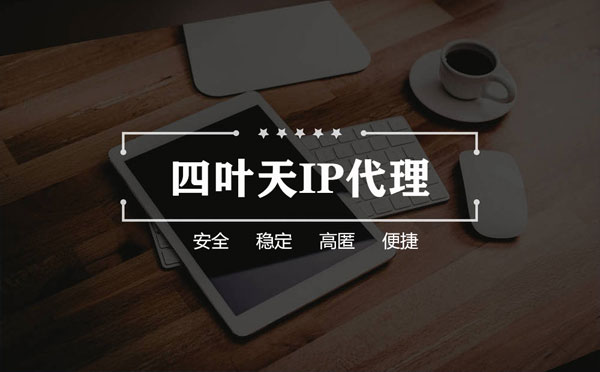 【山南代理IP】如何快速搭建代理IP？怎么检查代理的效果？